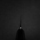 Kiritsuke Yanagiba Silver Steel #3 Kasumi Büffelhorn und Ebenholz Griff 300mm-[Musashi]-[Japan-Küchenmesser]