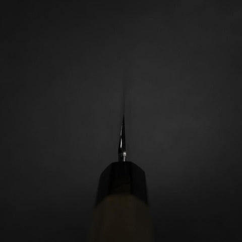 Kiritsuke Yanagiba Silver Steel #3 Kasumi Büffelhorn und Magnolienholz Griff 270mm-[Musashi]-[Japan-Küchenmesser]