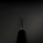 Nakiri Blue Steel #2 Kurouchi Ebenholz Griff 170mm-[Musashi]-[Japan-Küchenmesser]