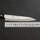 Petty AUS-8 Poliert Blauer Westlicher Griff 120mm-[Musashi]-[Japan-Küchenmesser]