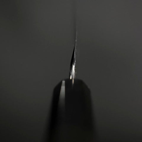 Sakimaru Takohiki Blue Steel #2 Kasumi Buffalo Ebony Handle 300mm-[Musashi]-[Japanese-Kitchen-Knives]