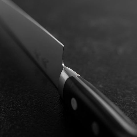 Sujihiki Molybdän Poliert Schwarzer Westlicher Griff 250mm-[Musashi]-[Japan-Küchenmesser]