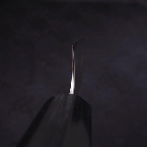 Sujihiki Silver Steel #3 Poliert Büffelhorn und Magnolienholz Griff 240mm-[Musashi]-[Japan-Küchenmesser]
