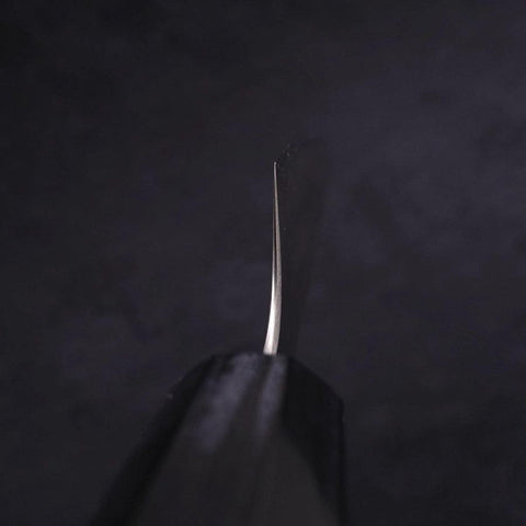 Sujihiki Silver Steel #3 Poliert Büffelhorn und Magnolienholz Griff 270mm-[Musashi]-[Japan-Küchenmesser]