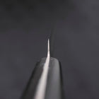 Sujihiki Silver Steel #3 Poliert Schwarzer Westlicher Griff 210mm-[Musashi]-[Japan-Küchenmesser]