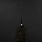 Sujihiki VG-10 Damast Grauer Birkenholz Griff 240mm-[Musashi]-[Japan-Küchenmesser]