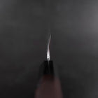 Usuba(Kanto) White Steel #2 Kasumi Büffelhorn und Ebenholz Griff 165mm-[Musashi]-[Japan-Küchenmesser]