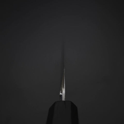 Yanagi Kiritsuke VG-10 Mirror Buffalo Ebony Handle 260mm-[Musashi]-[Japan-Küchenmesser]