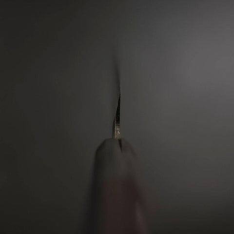 Yanagiba Blue Steel #2 Damast Büffelhorn und Ebenholz Griff 210mm-[Musashi]-[Japan-Küchenmesser]