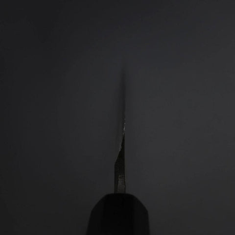 Yanagiba Blue Steel #2 Kurouchi Büffelhorn und Ebenholz Griff 260mm-[Musashi]-[Japan-Küchenmesser]