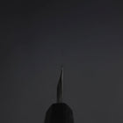 Yanagiba Blue Steel #2 Kurouchi Büffelhorn und Ebenholz Griff 300mm-[Musashi]-[Japan-Küchenmesser]
