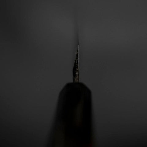 Yanagiba Blue Steel #2 Kurouchi Tsuchime Büffelhorn und Ebenholz Griff 230mm-[Musashi]-[Japan-Küchenmesser]