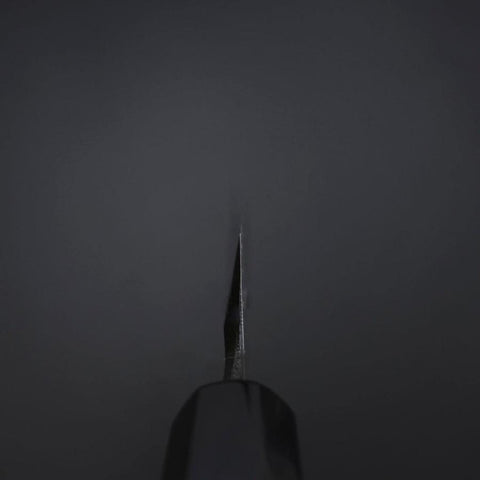 Yanagiba Blue Steel #2 Kurouchi Tsuchime Büffelhorn und Ebenholz Griff 260mm-[Musashi]-[Japan-Küchenmesser]