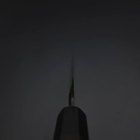Yanagiba Blue Steel #2 Kurouchi Tsuchime Büffelhorn und Ebenholz Griff 270mm-[Musashi]-[Japan-Küchenmesser]
