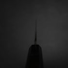 Yanagiba Silver Steel #3 Kasumi Büffelhorn und Ebenholz Griff 260mm-[Musashi]-[Japan-Küchenmesser]