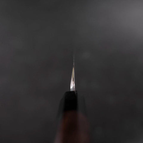 Yanagiba VG-10 Kagami Büffelhorn und Ebenholz Griff 300mm-[Musashi]-[Japan-Küchenmesser]