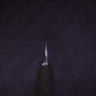 Yanagiba White Steel #1 Büffelhorn und Ebenholz Griff 300mm-[Musashi]-[Japan-Küchenmesser]