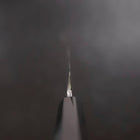 Yanagiba White Steel #2 Kasumi Büffelhorn und Ebenholz Griff 270mm-[Musashi]-[Japan-Küchenmesser]